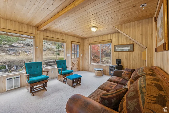 Carpeted living area featuring a wood ceiling with exposed beams, wood walls, and heating unit
