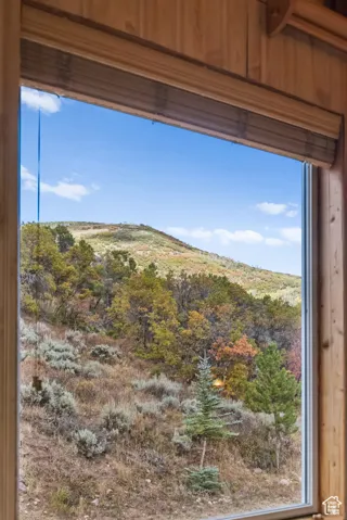 Detailed view of a heavily wooded area