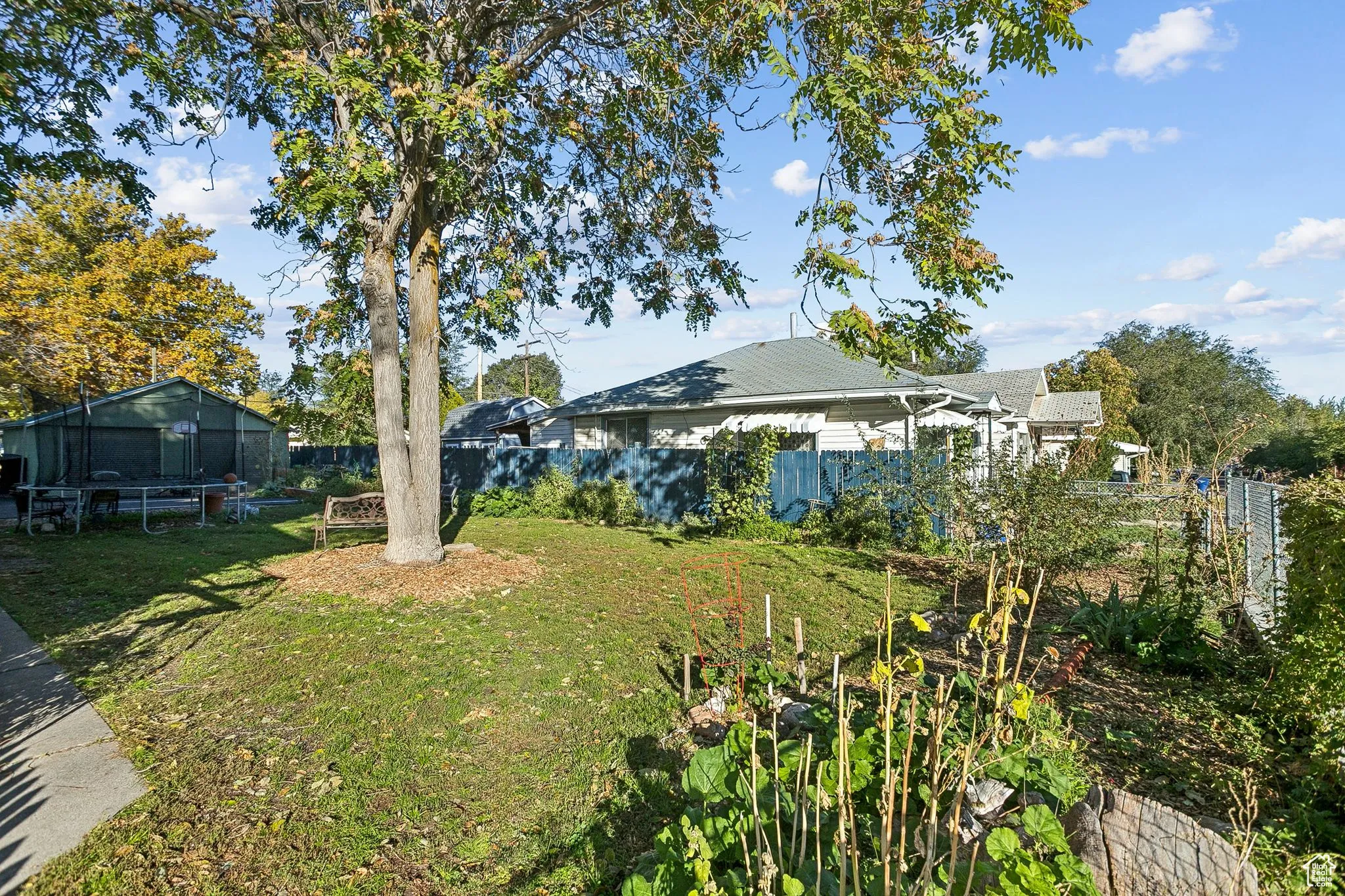 View of yard featuring a trampoline