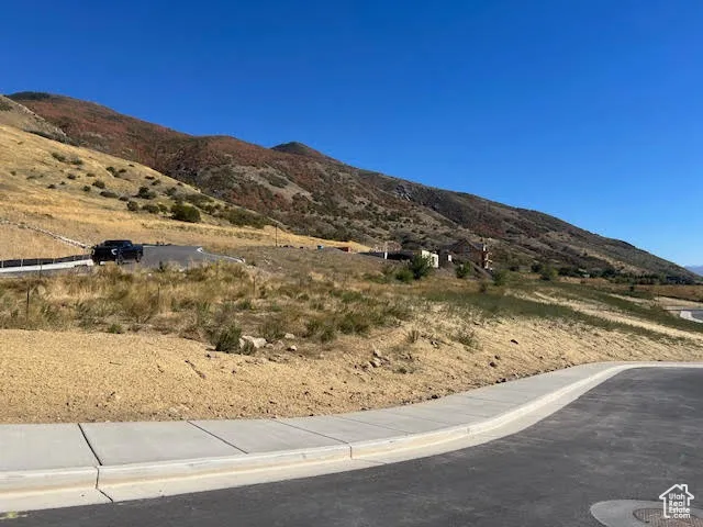 View of mountain background
