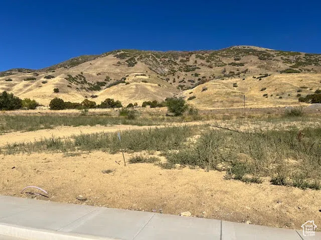 View of mountain backdrop
