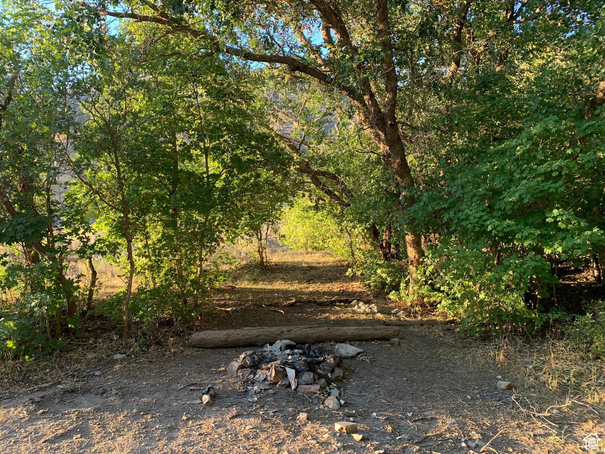View of nature