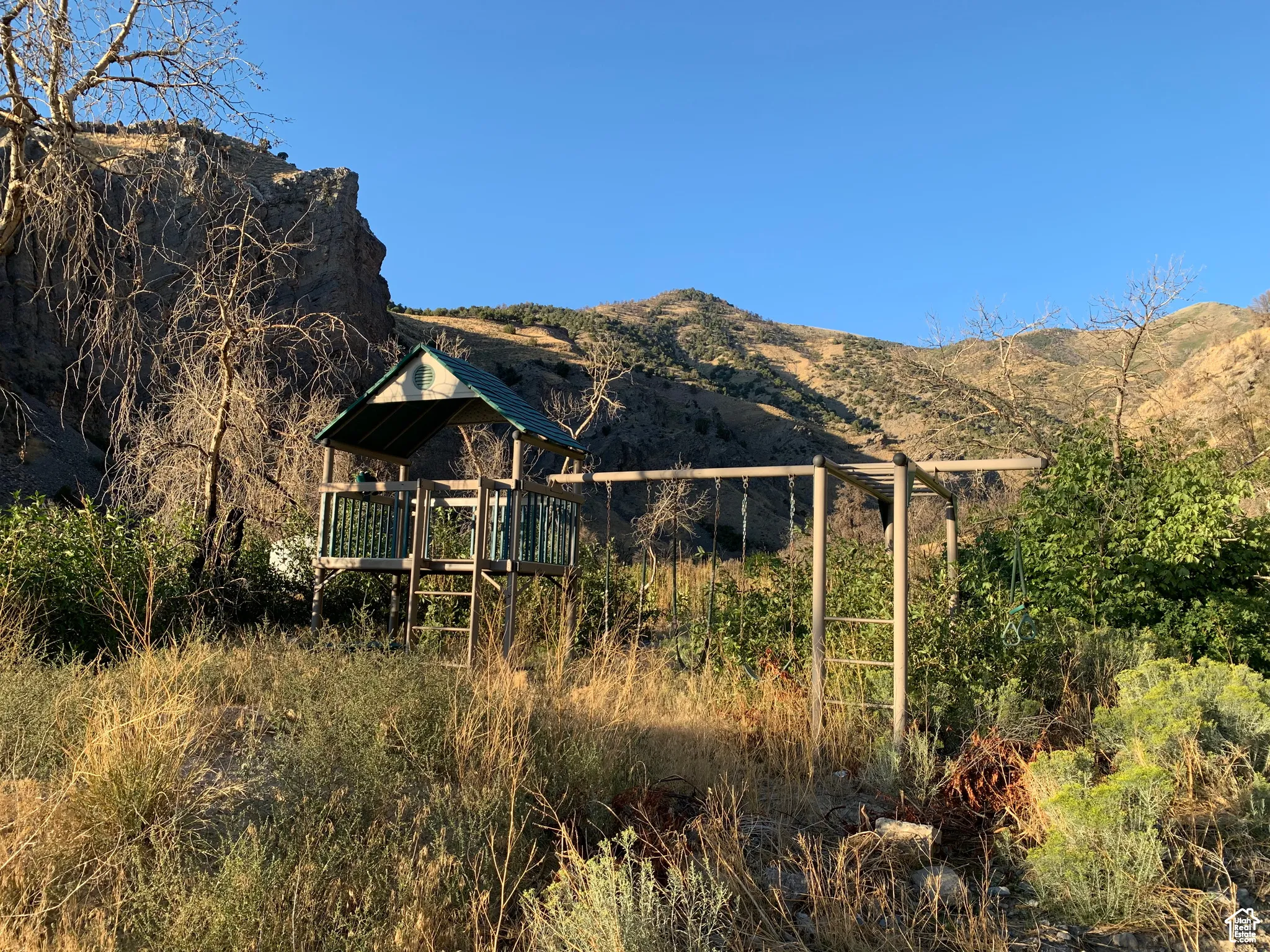 Mountain view