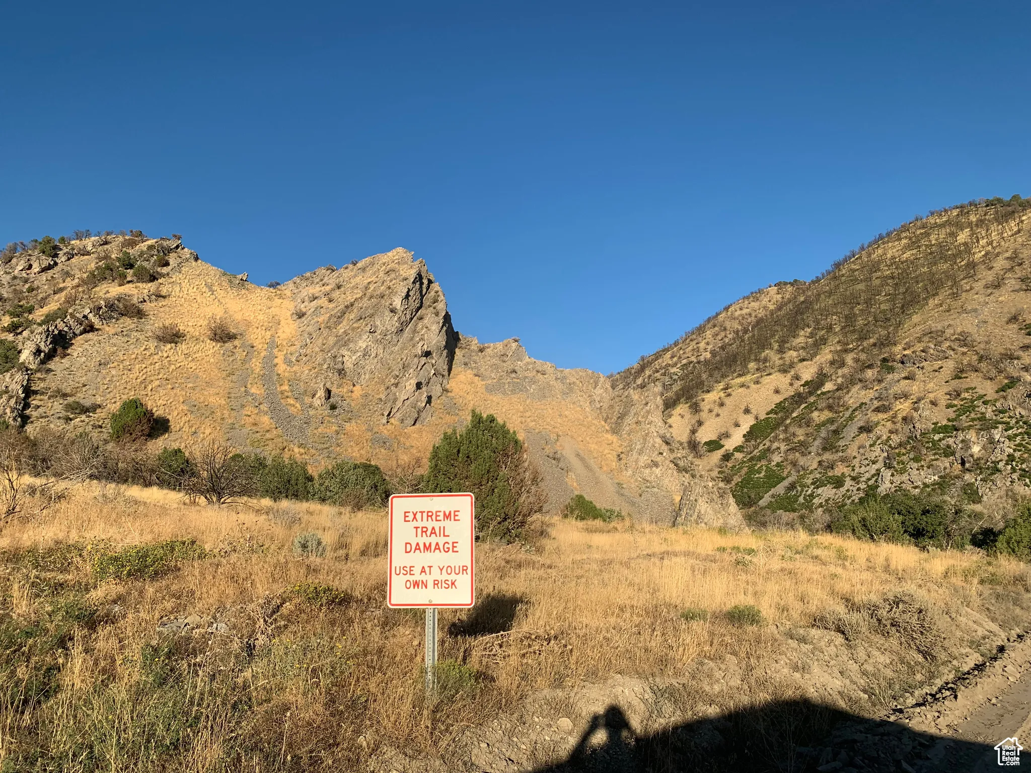 View of mountain background