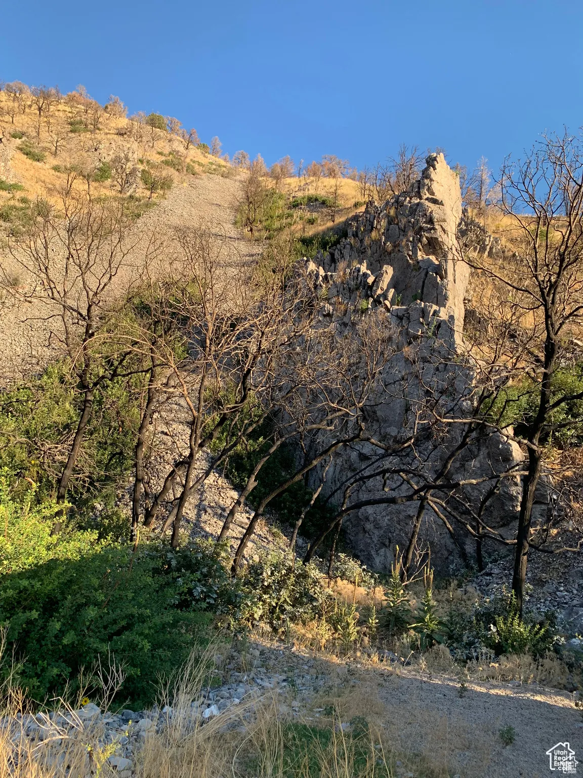 Mountain view