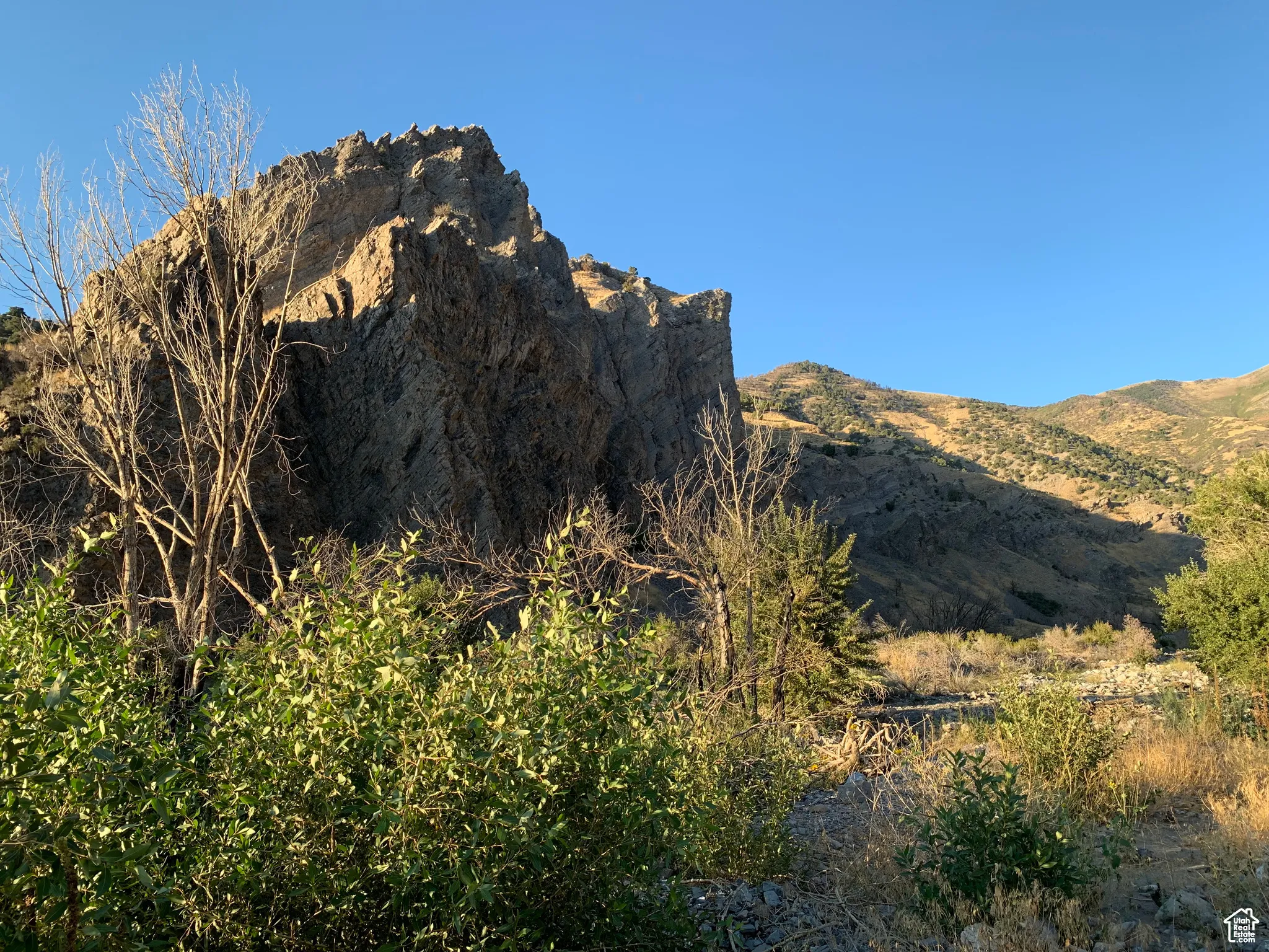 View of mountain background