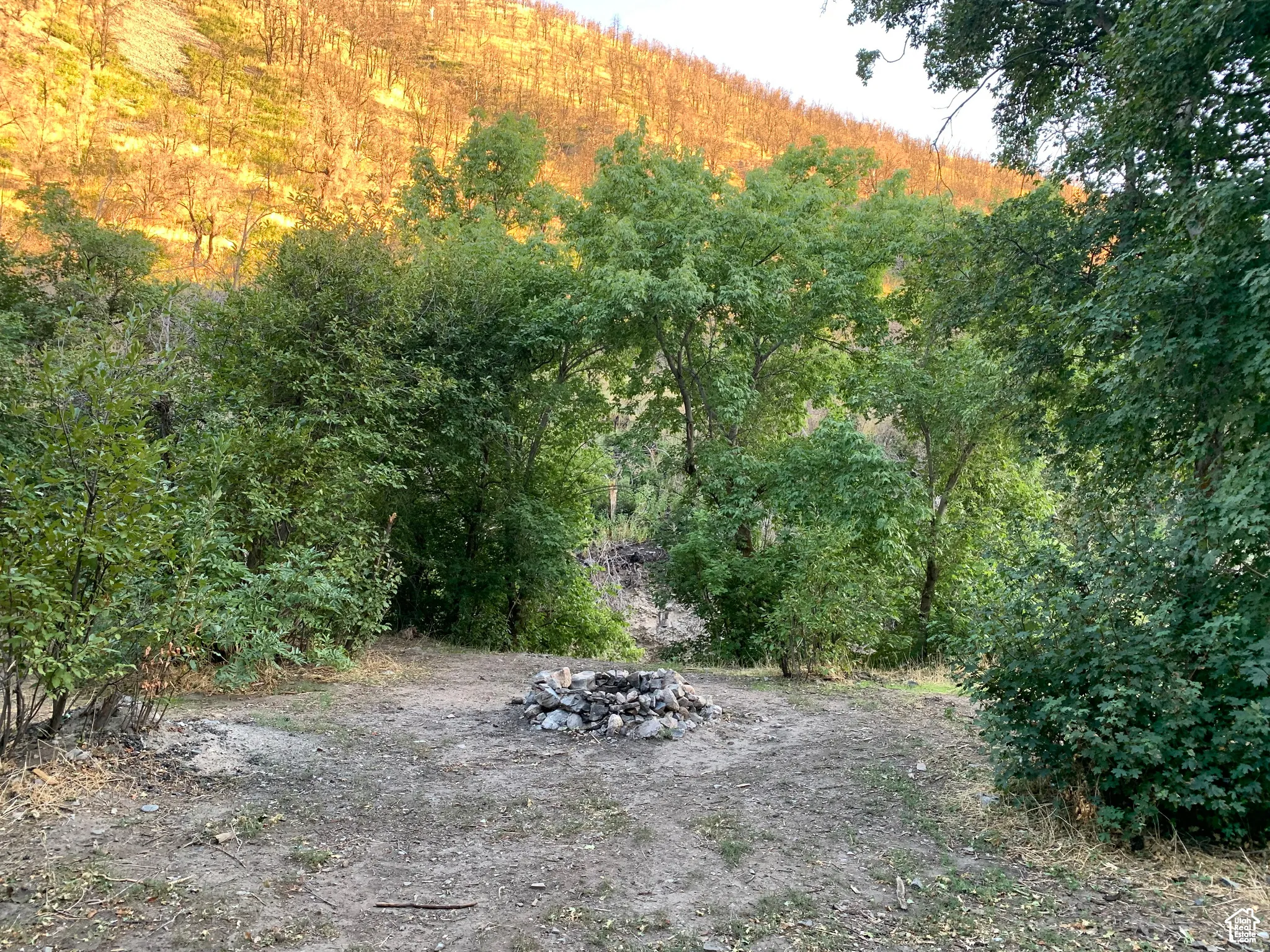 View of yard featuring a forest view