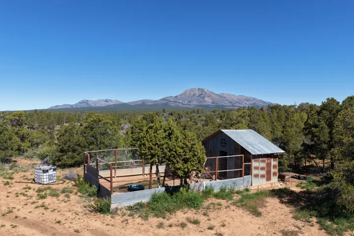 Mountain view with a heavily wooded area