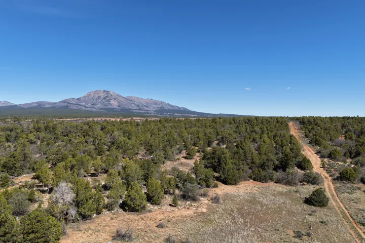 View of mountain backdrop with a forest