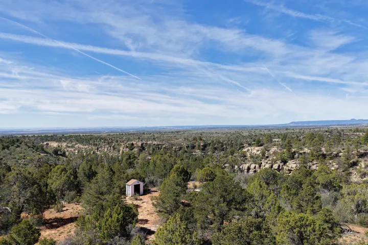 Drone / aerial view of a forest and a mountainous background