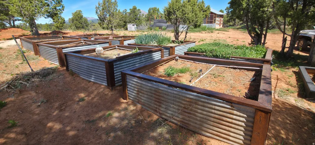 View of yard with a vegetable garden