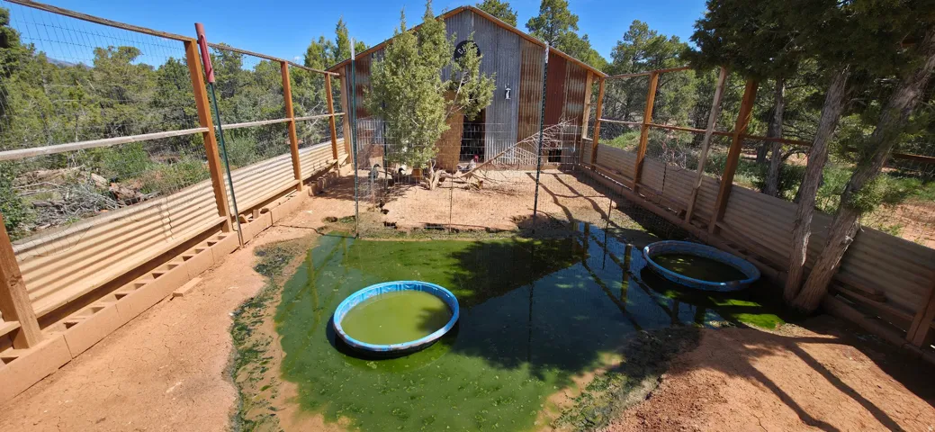 View of pool featuring a fenced backyard