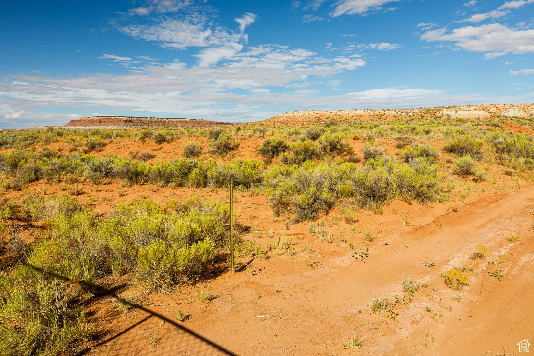 View of undeveloped land