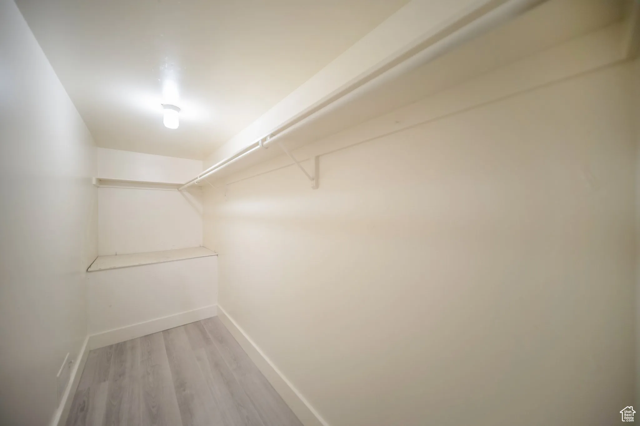 Spacious closet featuring light wood finished floors