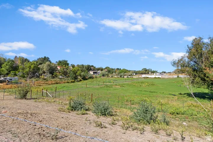 View of tree filled area with a rural view