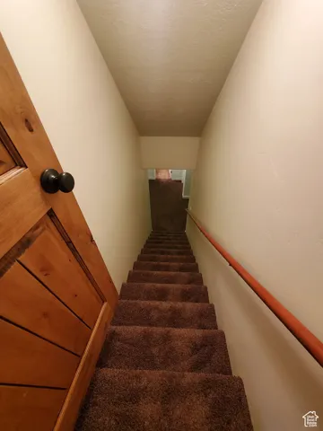 Stairway to basement off of kitchen with a textured ceiling and carpet.