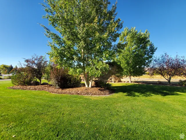 View of green lawn