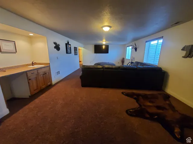 Living room with dark colored carpet and baseboards