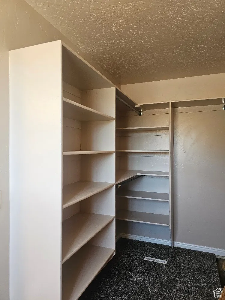 Spacious closet featuring dark colored carpet