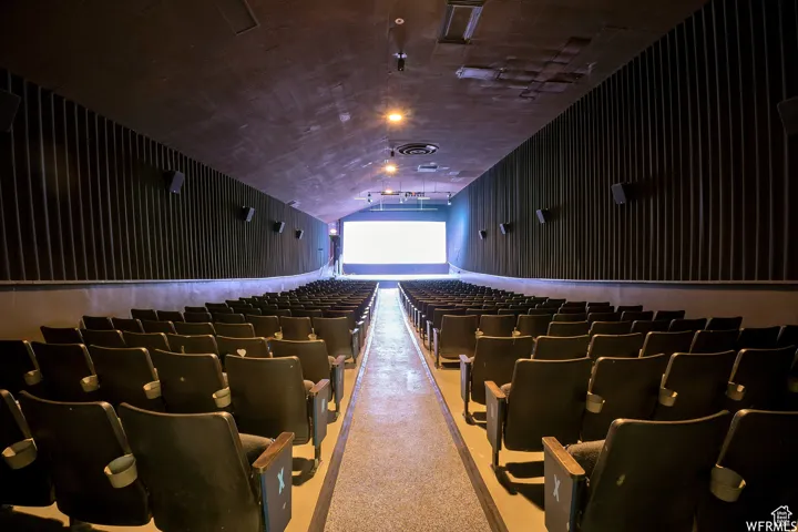 View of carpeted cinema