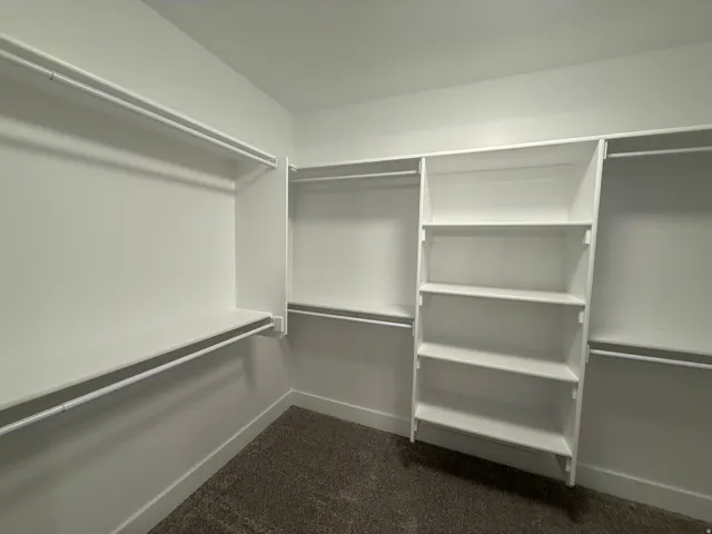 Walk in closet featuring dark carpet