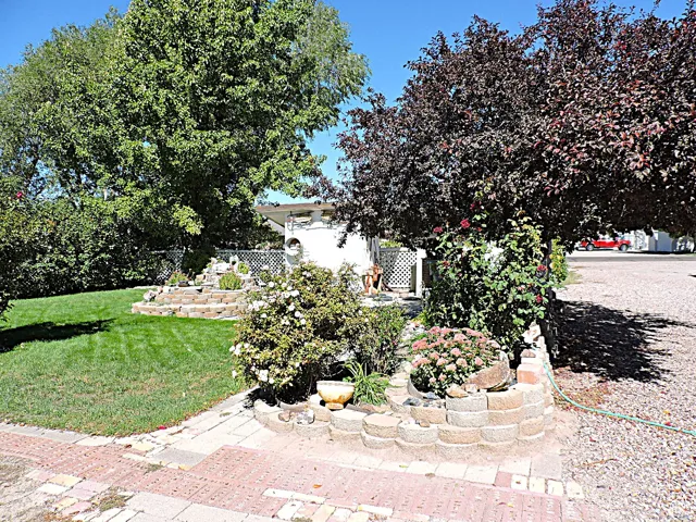 View of green lawn