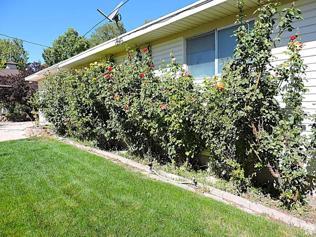 View of back of home featuring a lawn
