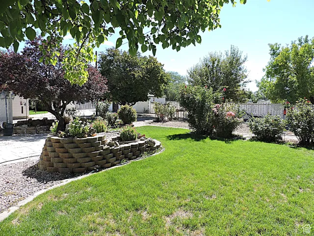 View of yard featuring a patio