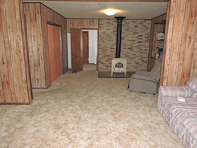 Living area featuring a wood stove, wooden walls, and light colored carpet