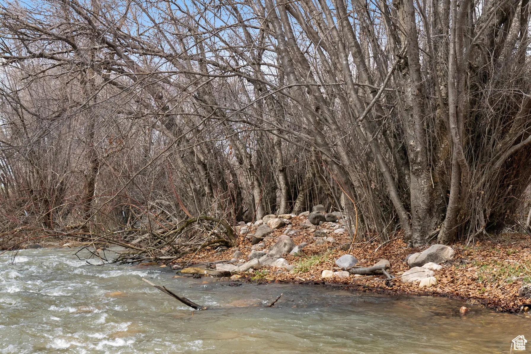 View of undeveloped land with a nearby body of water