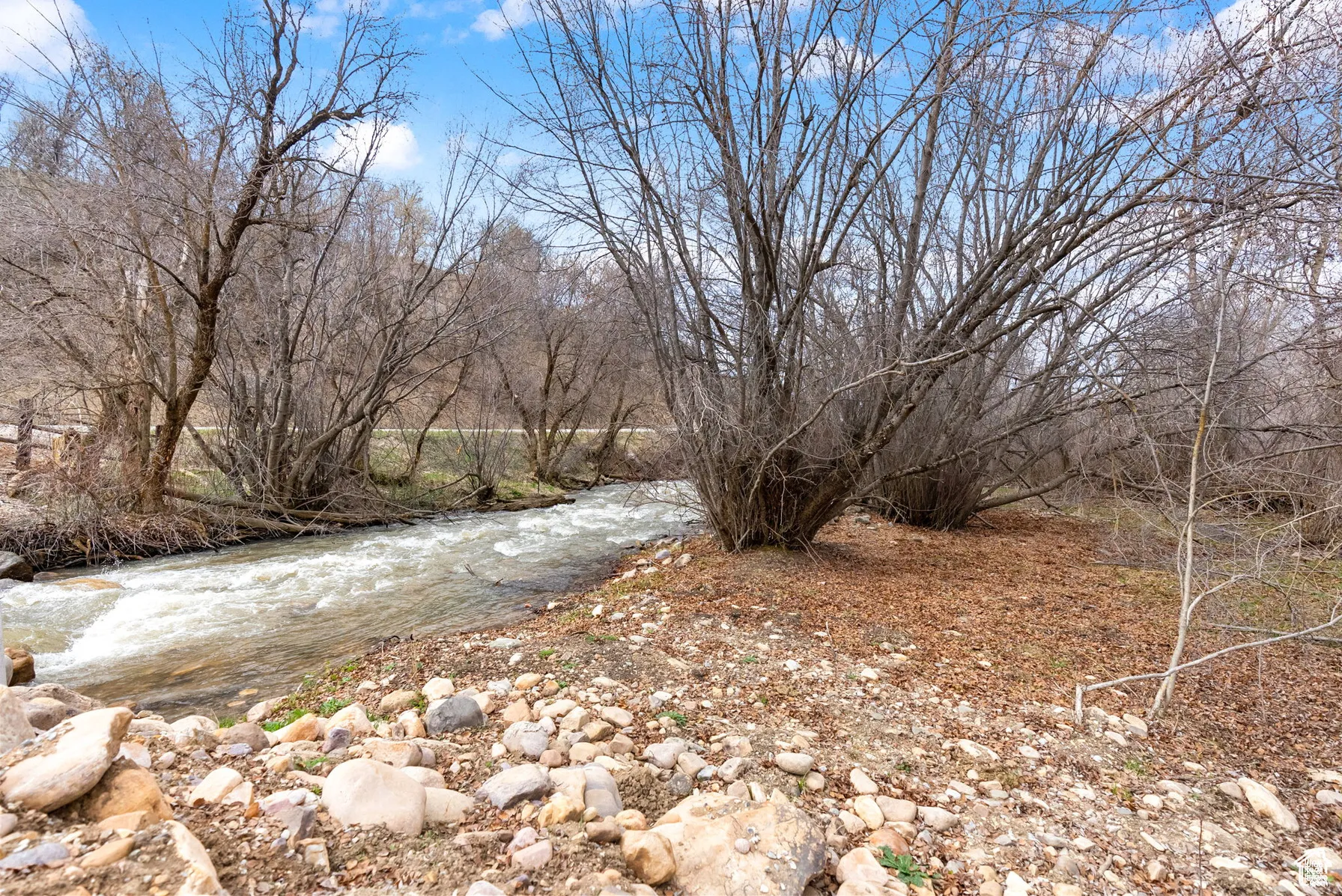 View of local wilderness featuring a nearby body of water