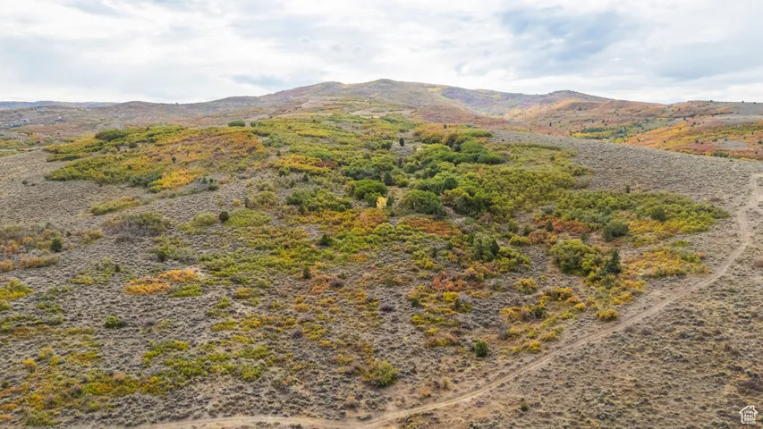 View of mountain background