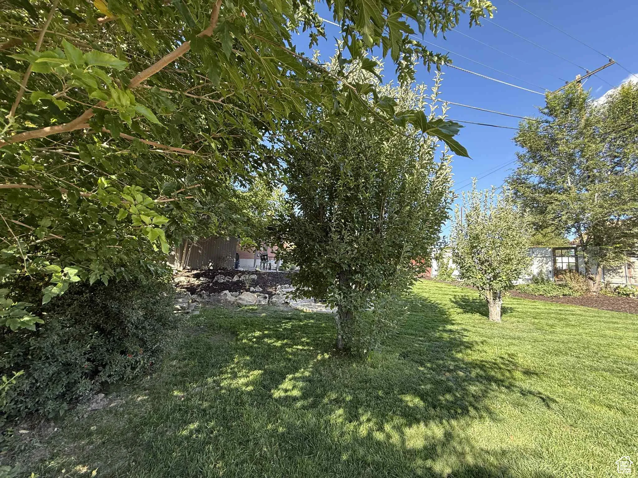 View of grassy yard