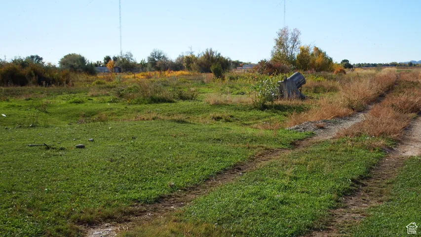 View of grassy yard with a view of rural / pastoral area