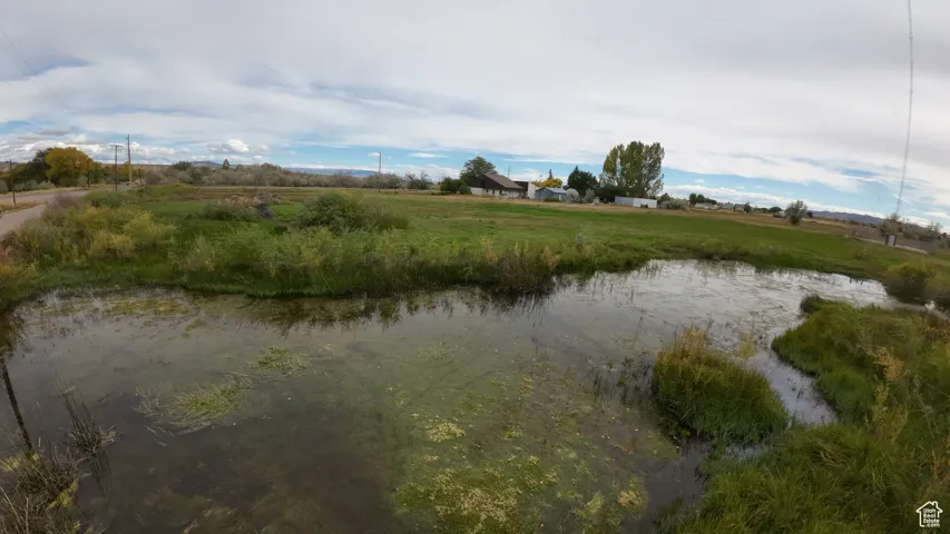 View of local wilderness with a large body of water
