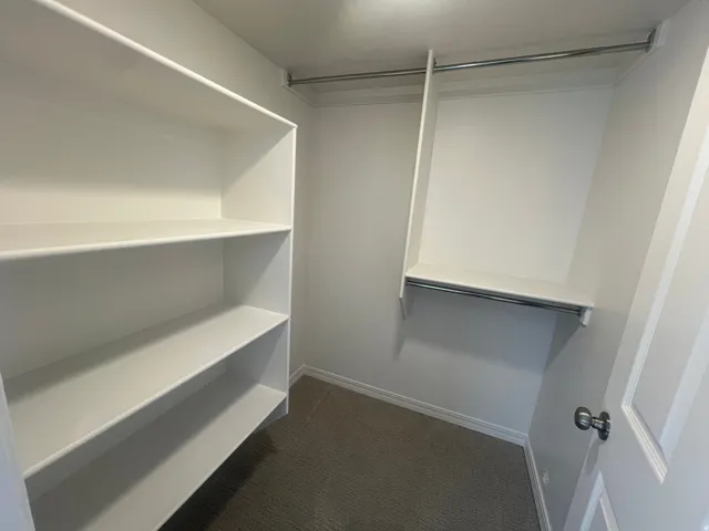 Walk in closet in Basement bedroom