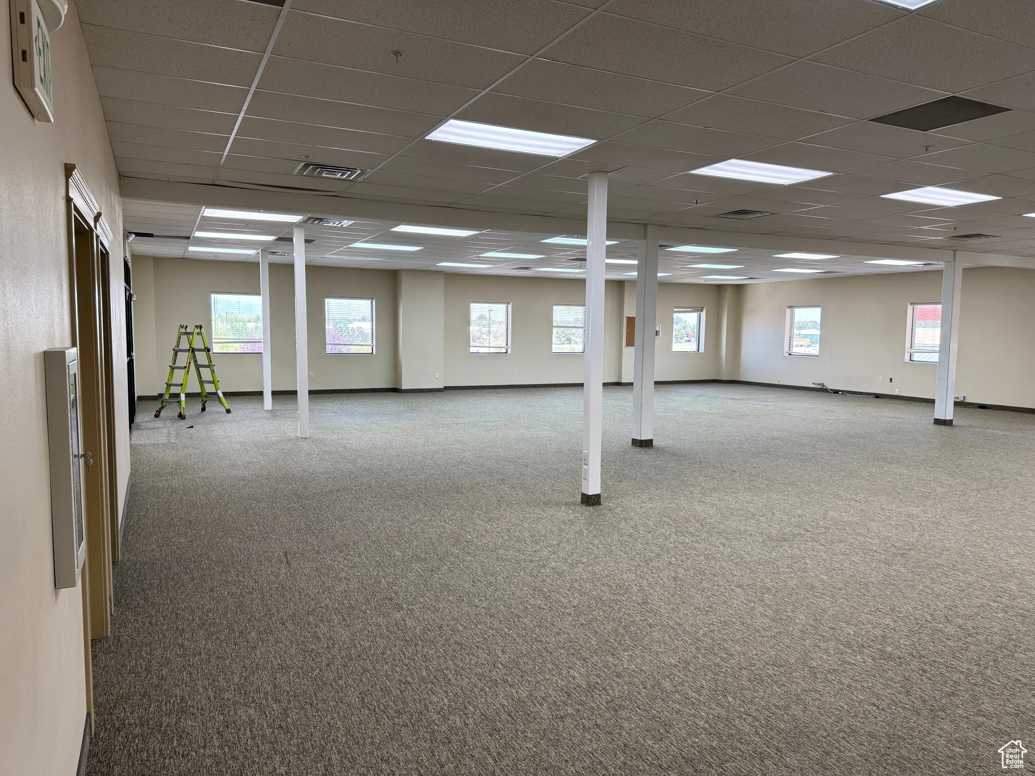 Basement with carpet flooring and a paneled ceiling