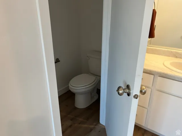 Bathroom with dark wood-style flooring and vanity