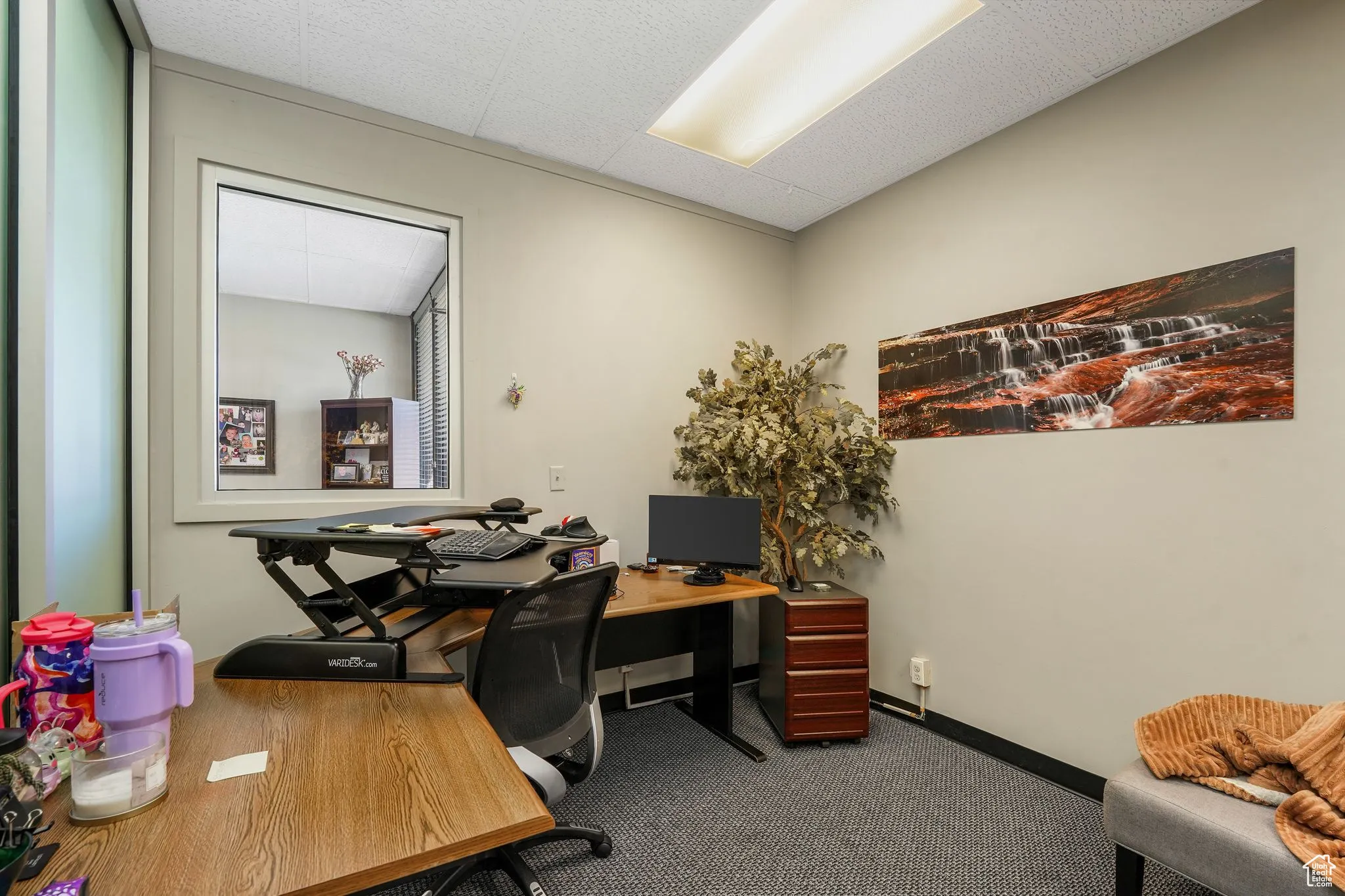 Office space featuring carpet floors