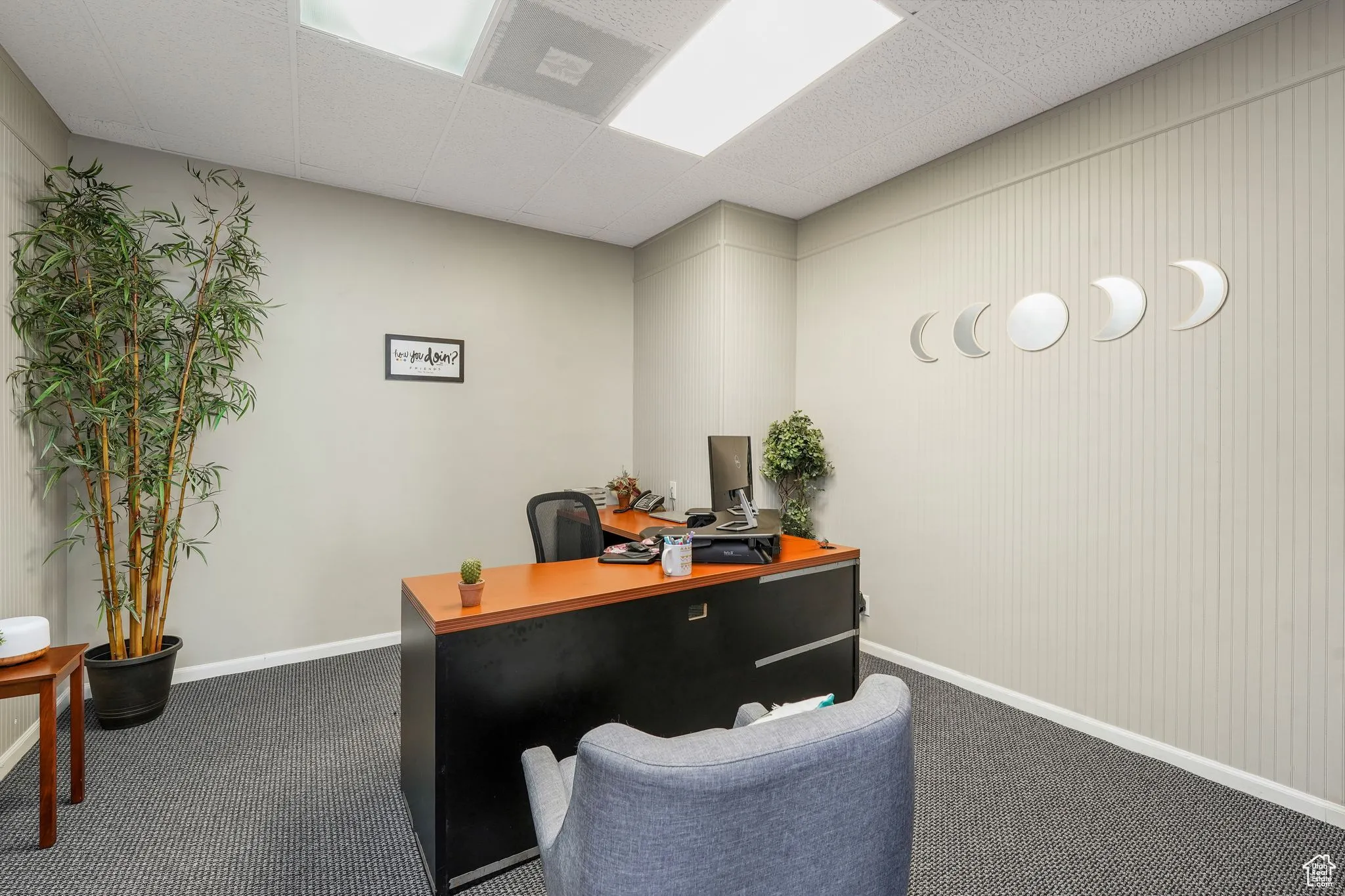 Home office with a drop ceiling and dark carpet