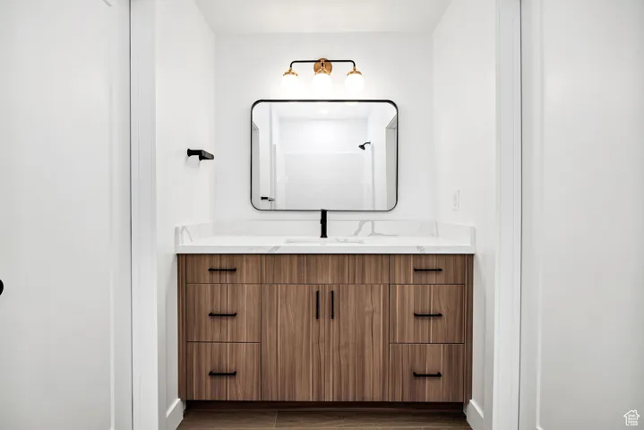 Bathroom featuring vanity and dark wood-type flooring