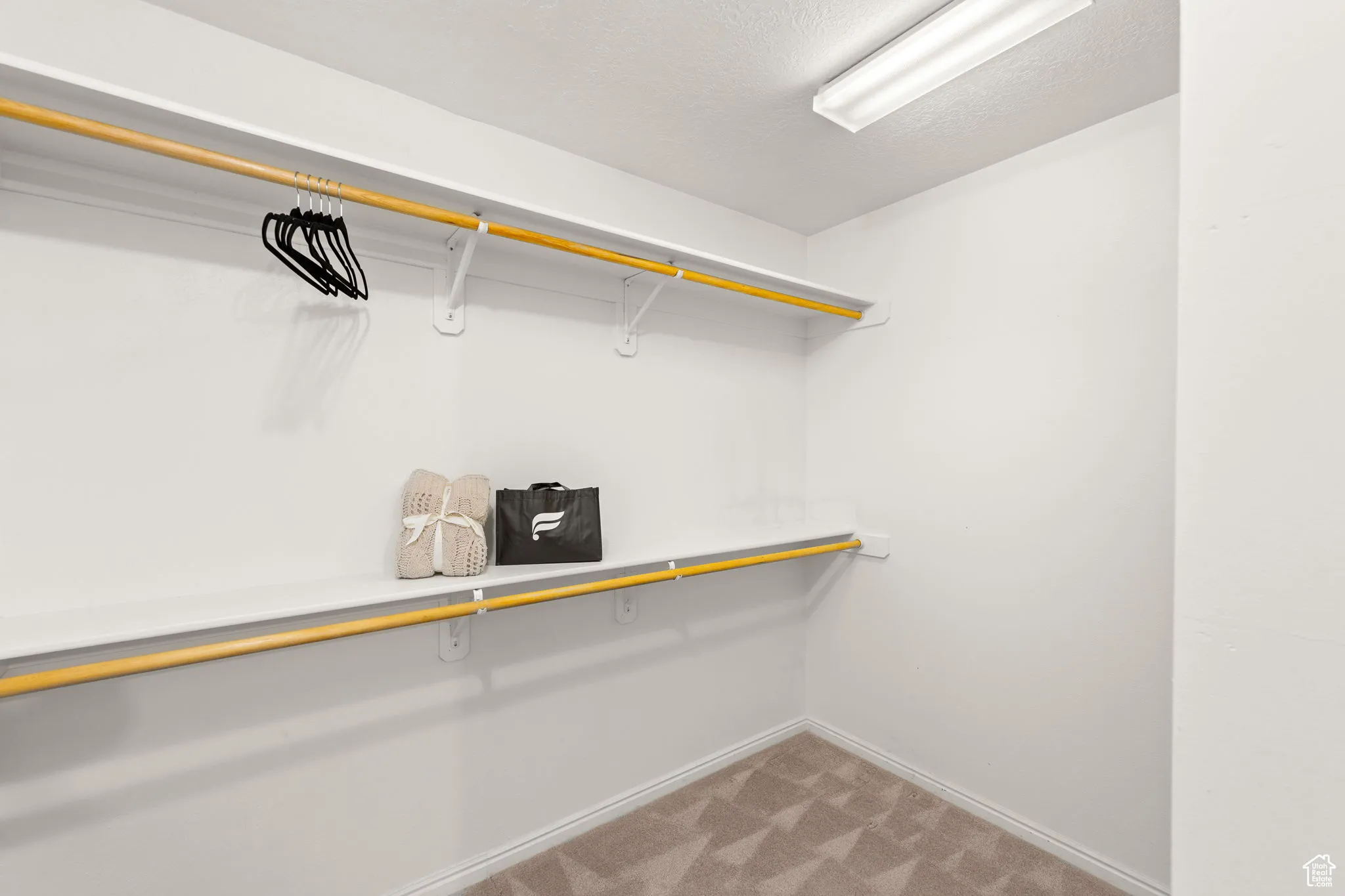 Spacious closet with light colored carpet