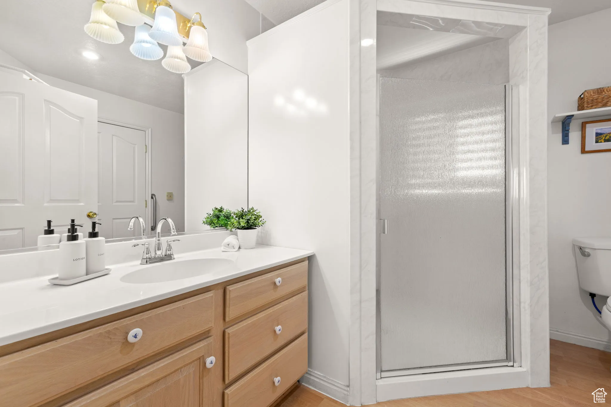 Bathroom with vanity, a stall shower, and light wood-style floors