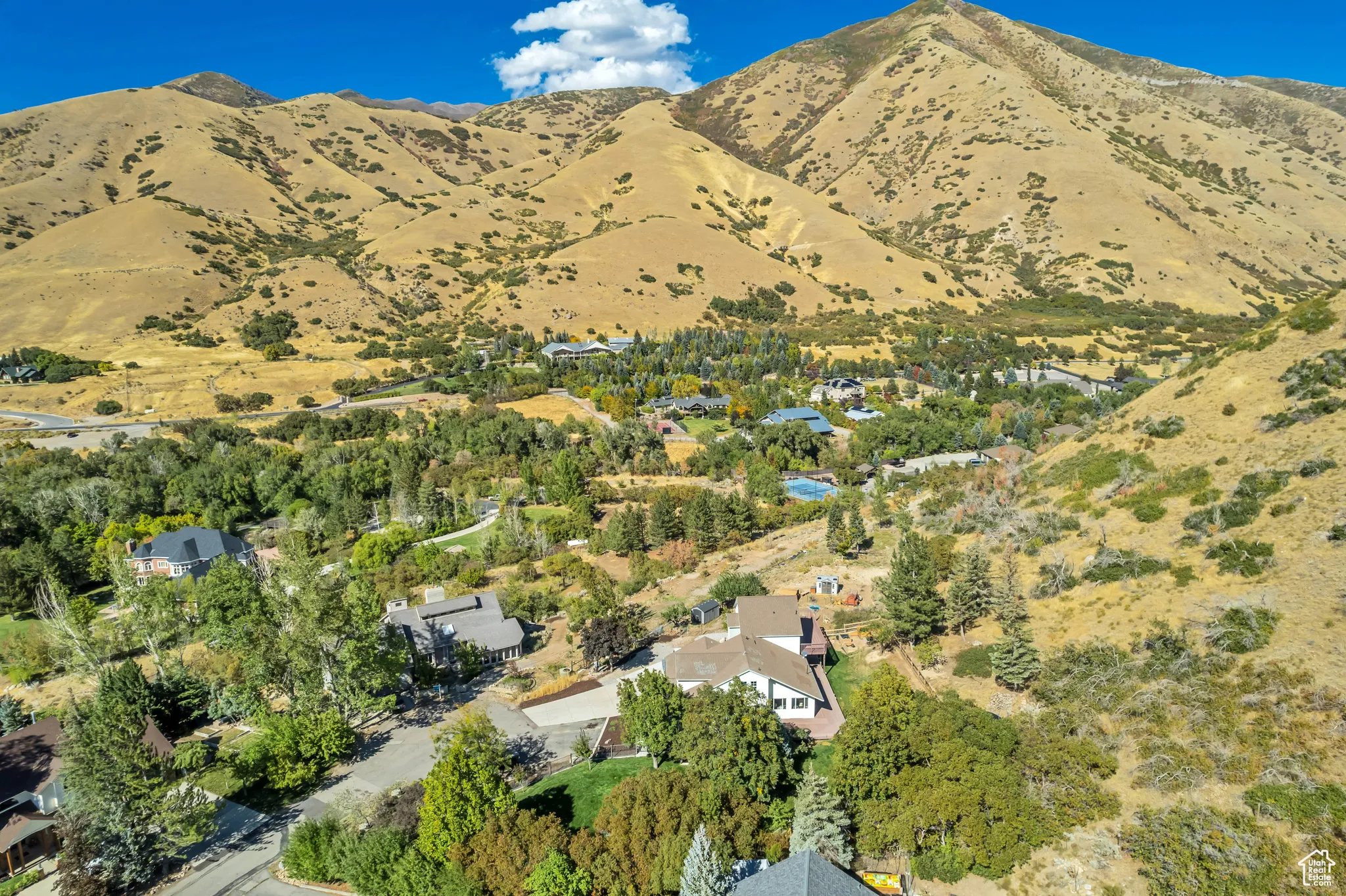 View of mountain background