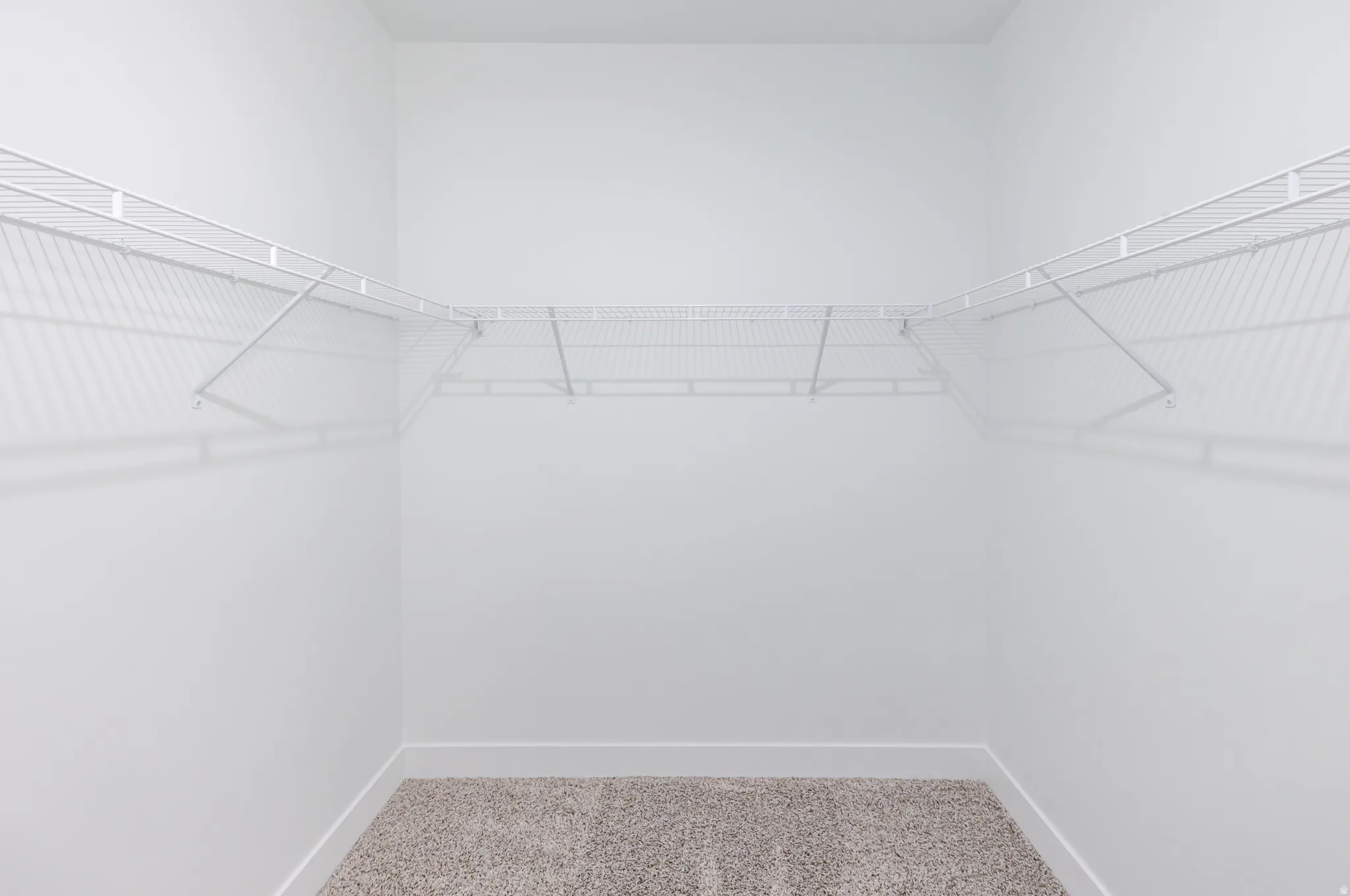 Walk in closet featuring light carpet
