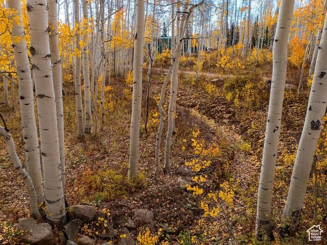 View of nature