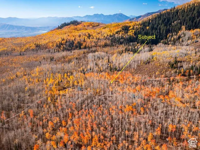 View of mountain background featuring a heavily wooded area