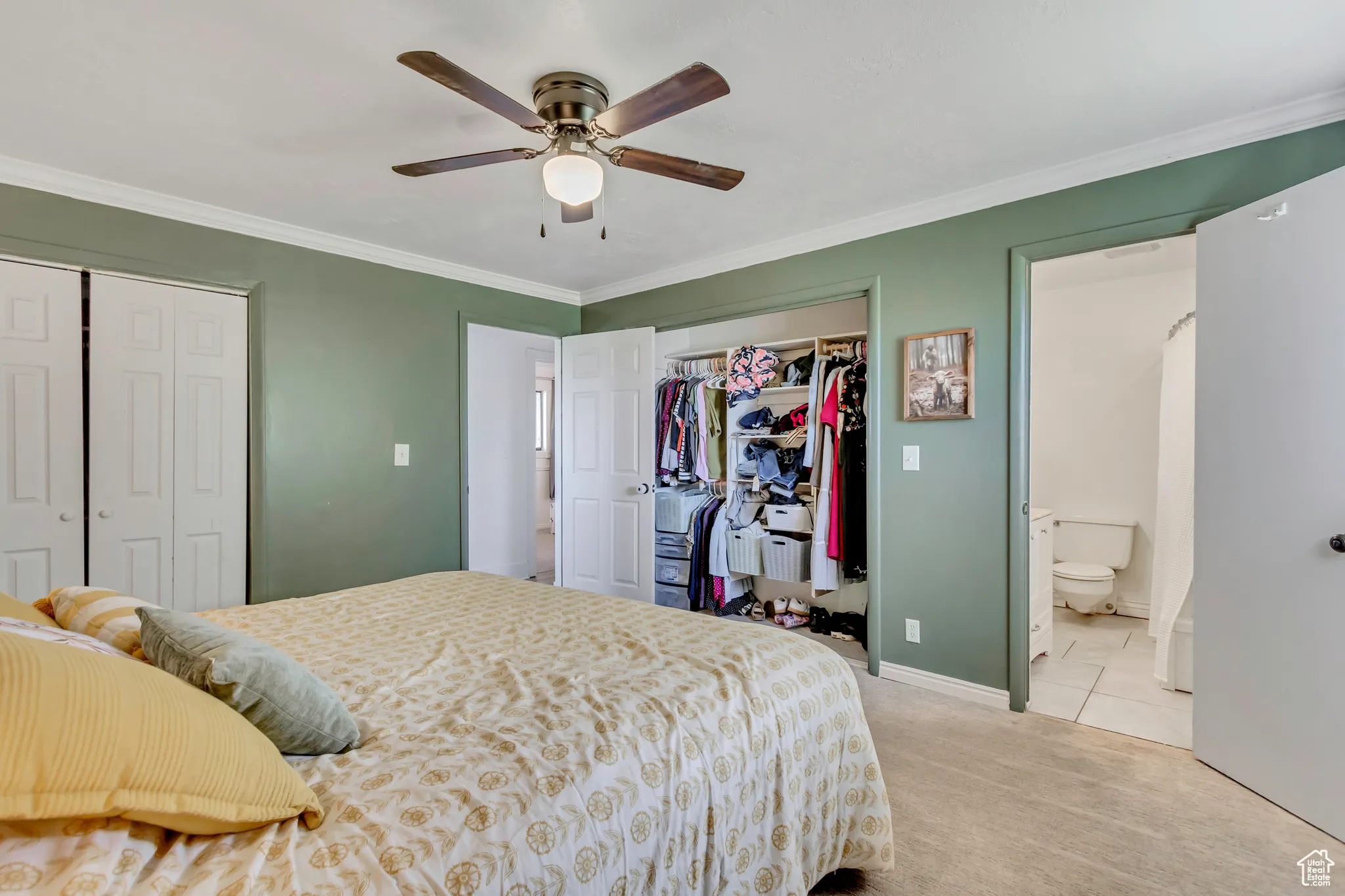 Bedroom with two closets, carpet, ornamental molding, and a ceiling fan