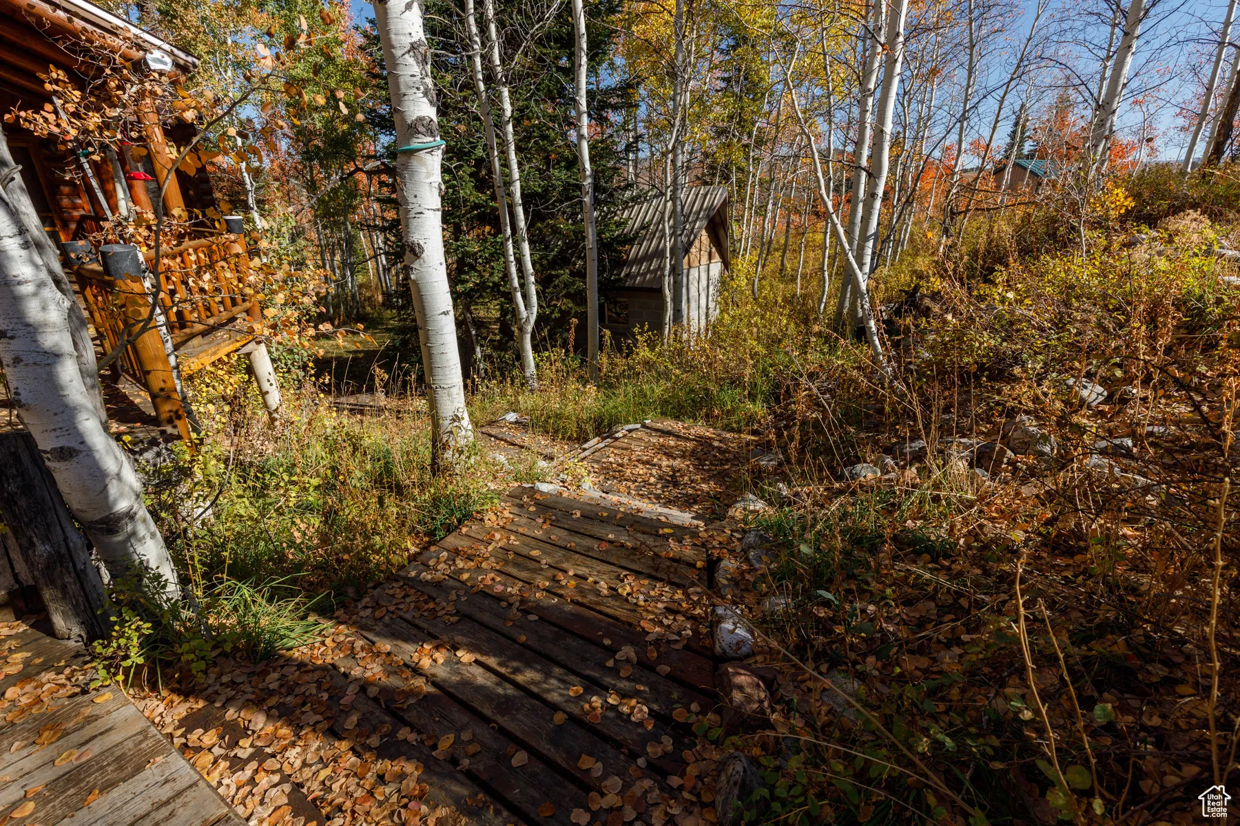 View of yard with view of wooded area