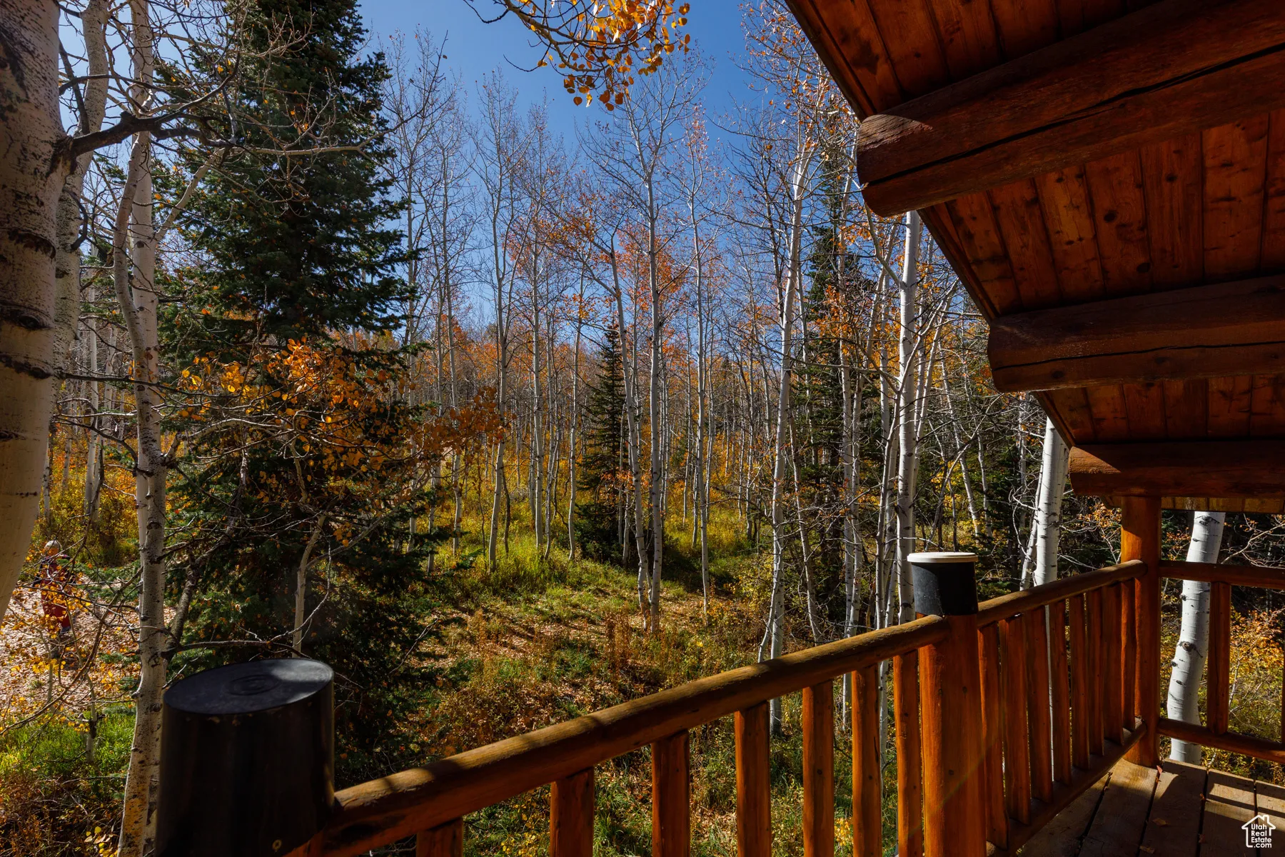 Wooden deck with a view of trees